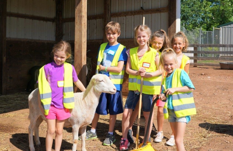 Children standing by a sheep
