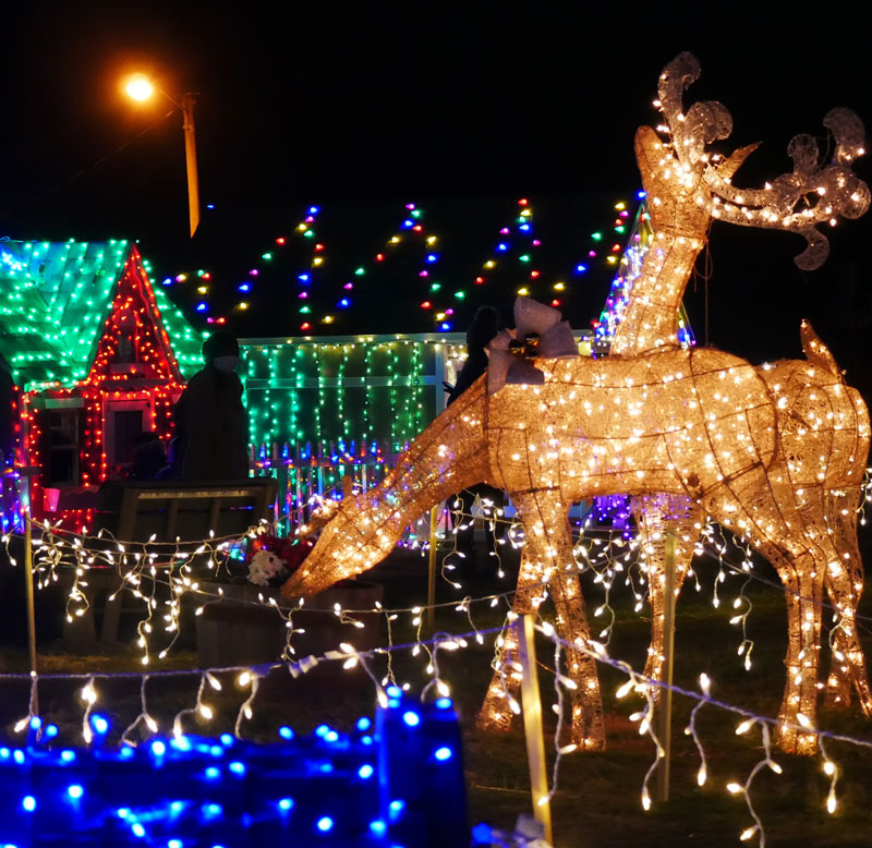 Christmas Tree Lighting – Leesburg Animal Park